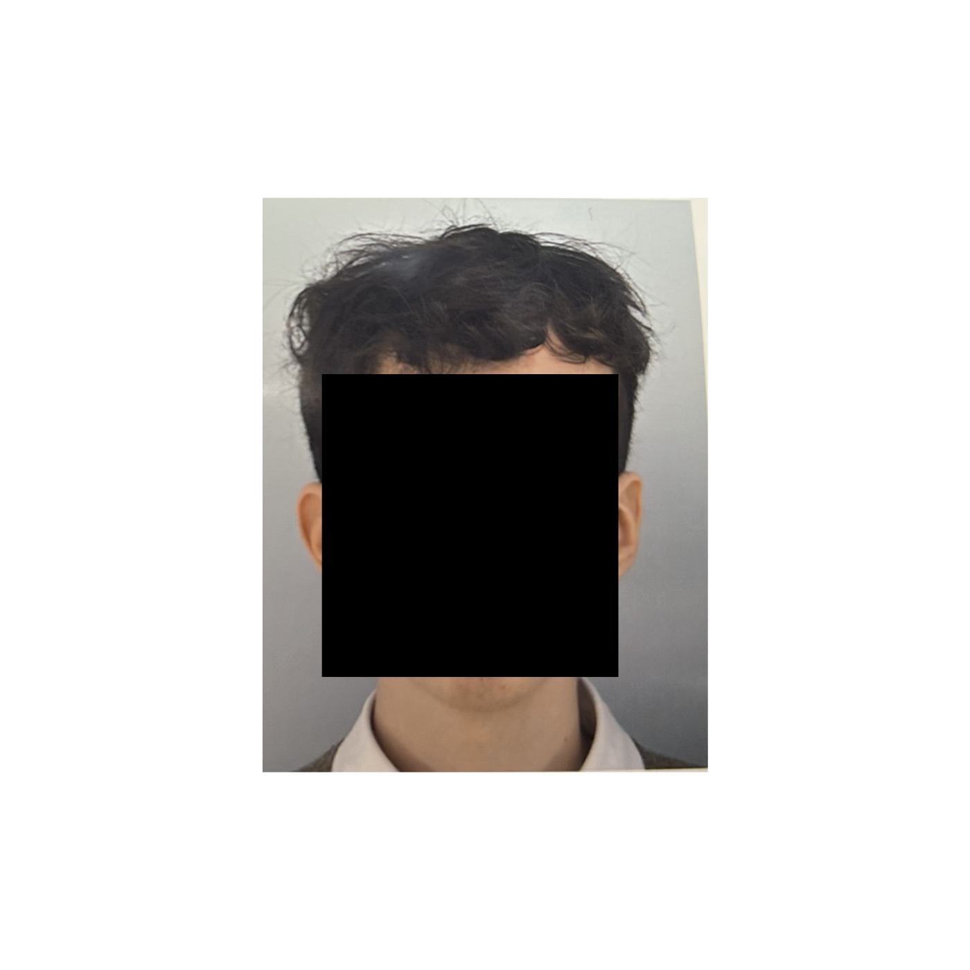 The Starship Project